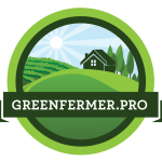 greenfermer logo 150x150 - Семена капусты пак-чой для микрозелени, 100г.