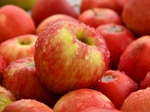 garden 300x225 - Яблоки сезонные