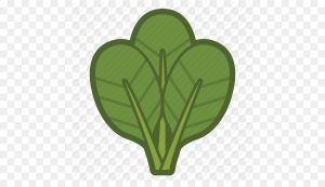 kisspng organic food spinach leaf vegetable computer icons vector icon vegetable 5ab144e10aaf25.3907966015215669450438 300x173 - Статьи