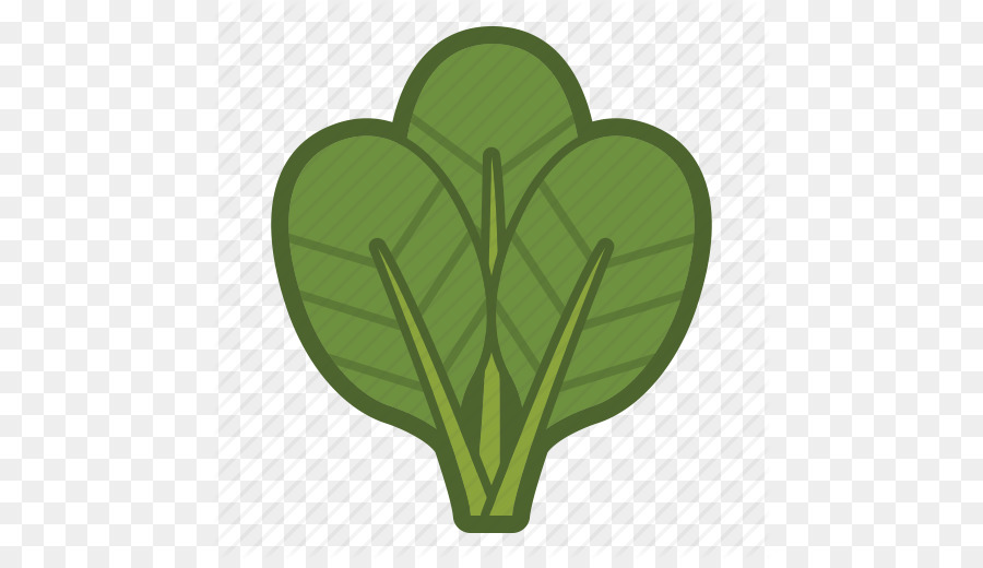 kisspng organic food spinach leaf vegetable computer icons vector icon vegetable 5ab144e10aaf25.3907966015215669450438 - Зачем мне употреблять микрозелень?